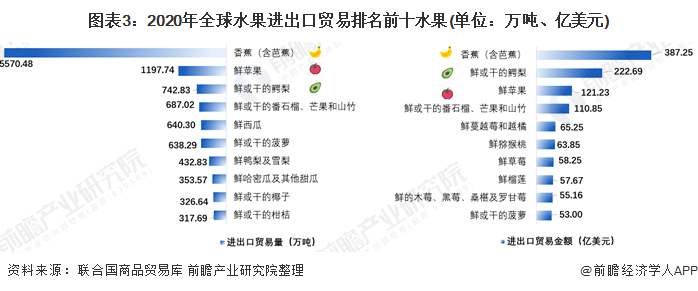 奇异果体育【创新视角】2021年全球水果进出口贸易分析 香蕉鳄梨苹果是主要进出口(图3)