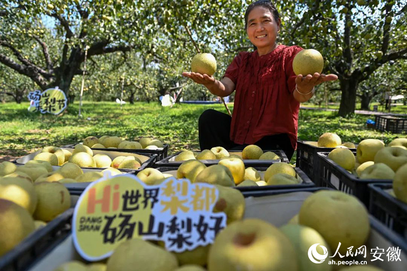 奇异果体育安徽砀山：“世界梨都”长成记(图6)