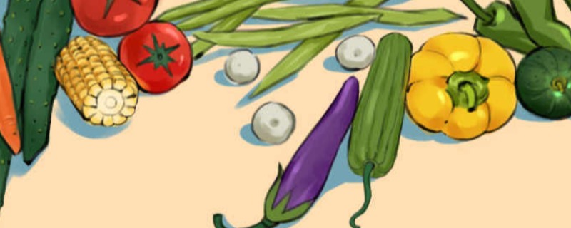 奇异果体育蔬菜保存的最佳温度 蔬菜保存的最适宜温度(图1)