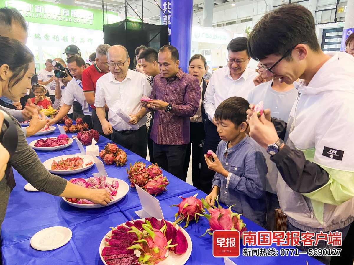 奇异果体育好评！这种水果出新品了双色碰撞