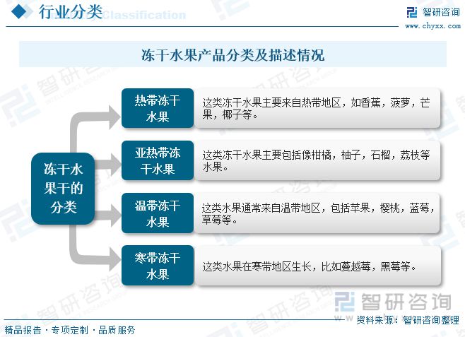 奇异果体育冻干水果报告：消费者对健康食品