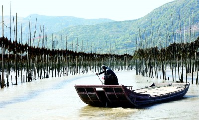 奇异果体育·(中国)官方网站耕山牧海有“粮”策——福建牢记嘱托践行大食物观的探索(图2)