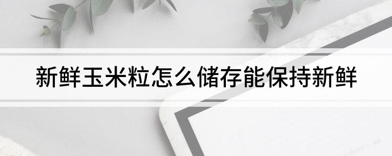 奇异果体育·(中国)官方网站新鲜玉米粒怎