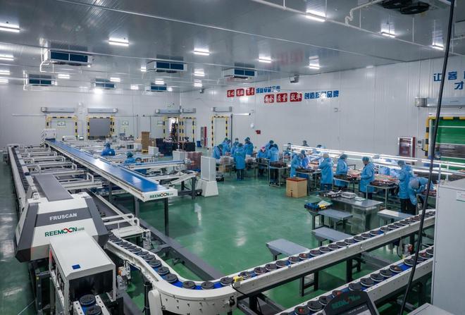 奇异果体育·(中国)官方网站当草莓种植遇上新理念 新农人“孕育好水果”(图3)