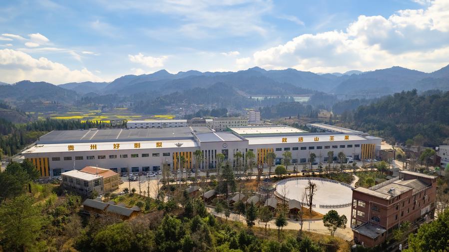 奇异果体育新时代中国调研行之看区域·西部
