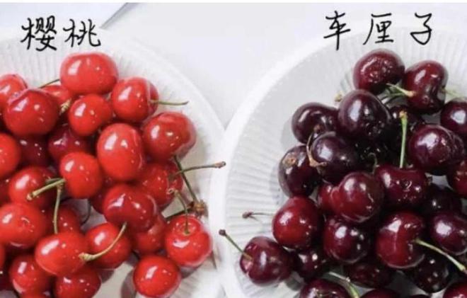 奇异果体育“顶流水果”车厘子价格大跌80%一个月运输到中国都不腐烂(图3)