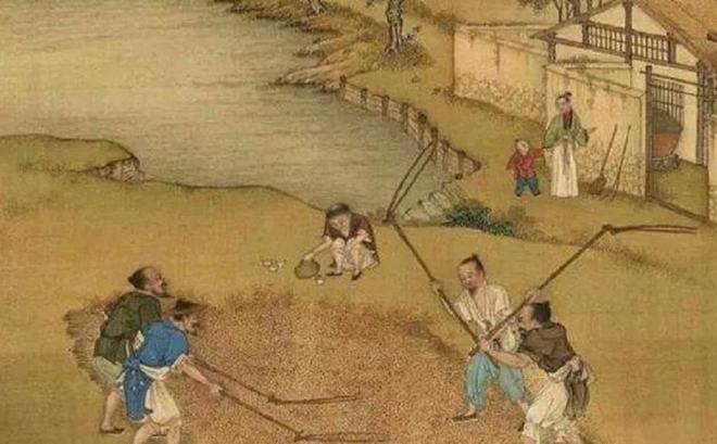奇异果体育·(中国)官方网站俗话说：女婿