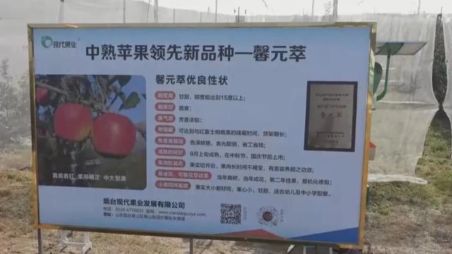 奇异果体育第22次一场关于收获的双向奔赴(图2)