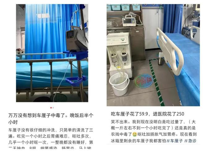 奇异果体育“塌房”的车厘子撕碎贵族水果的体面(图10)