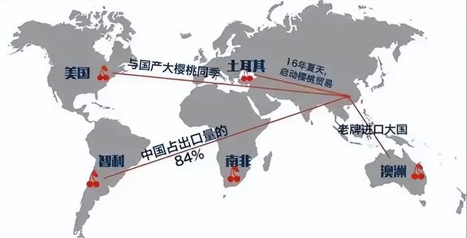 奇异果体育“塌房”的车厘子撕碎贵族水果的体面(图12)