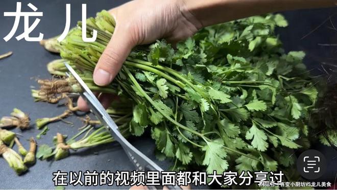 奇异果体育·(中国)官方网站这才是保存香菜的正确方法存放一年还新鲜翠绿方法简单又(图5)