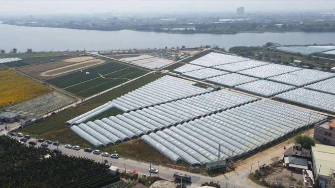 奇异果体育·(中国)官方网站【聚焦高质量发展】江东蔬菜牵手盒马鲜生 订单农业助力(图3)