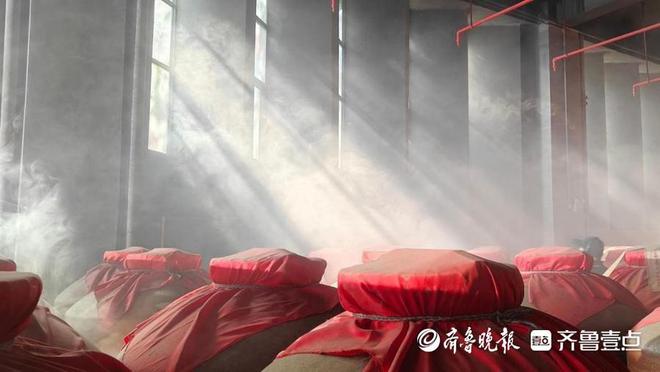 奇异果体育·(中国)官方网站时光窖藏 智酿芬芳——解码今世缘酒的高品质基因(图3)